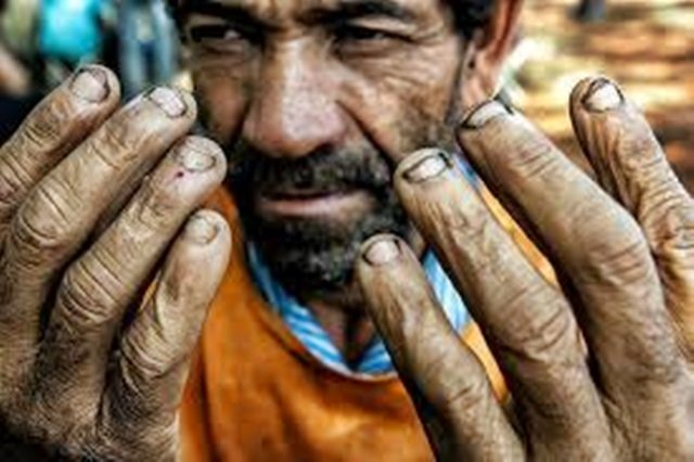 Alagoas registrou 79 casos de vítimas de Trabalho Escravo resgatadas em 2023