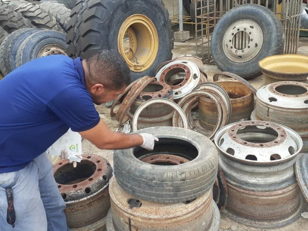 Dia D contra dengue promove ações de conscientização em todo o Brasil