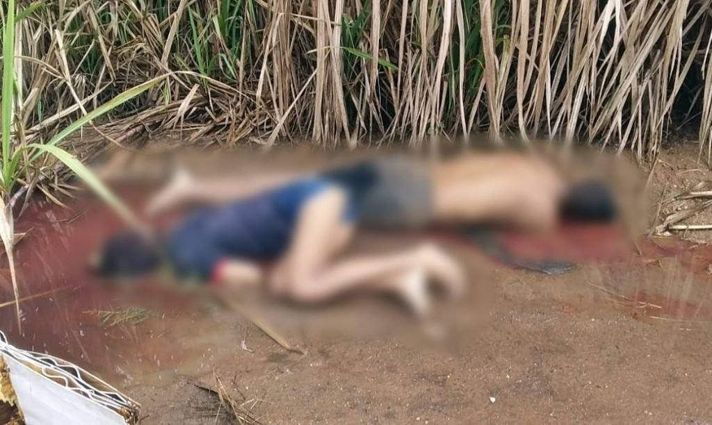 Cortesia internautas