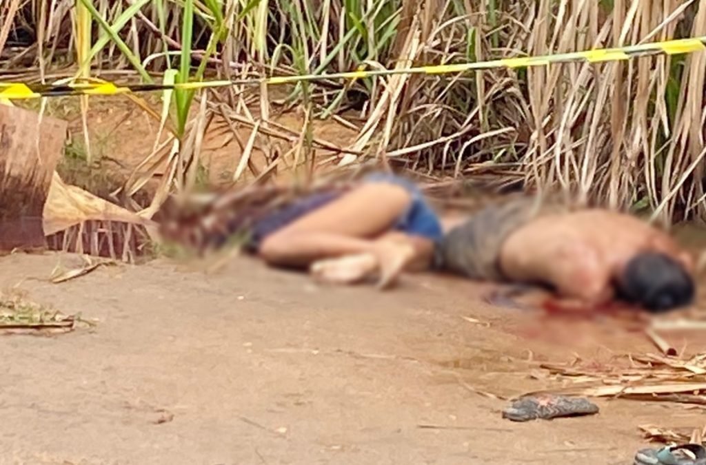 Cortesia internautas