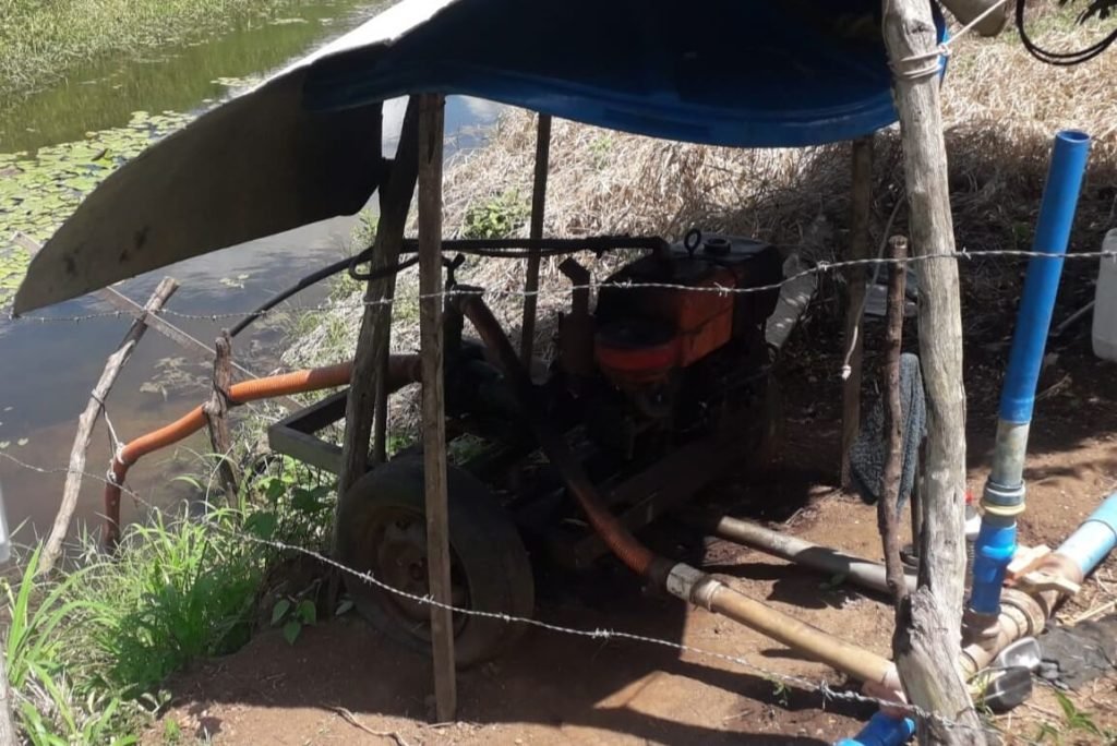 Equatorial e PM combate furto de energia em criação de camarão em Limoeiro de Anadia 1 Reprodução