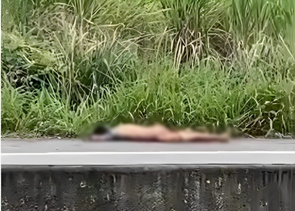 Homem morreu atropelado na AL-220