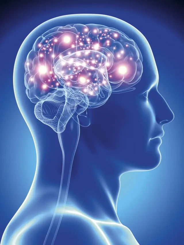 O-cérebro-de-idosos-solitários-pode-encolher-devido-à-falta-de-interação-08-19-07-23