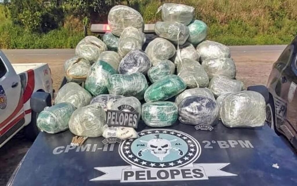 PM apreende carga de maconha e cocaína que vinha de PE para ser entregue em Alagoas