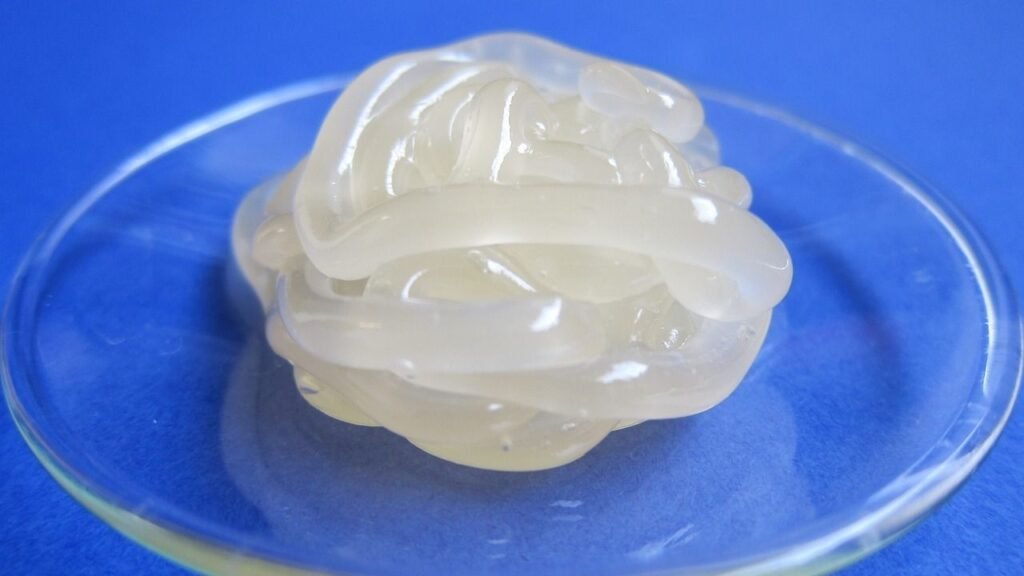 Butantan cria pomada cicatrizante natural que não forma queloide