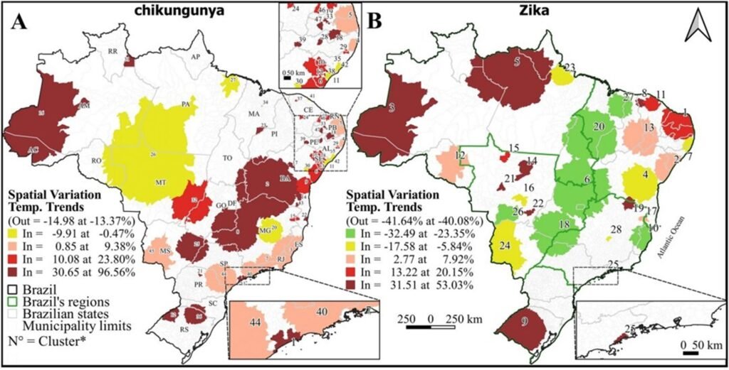Chikungunya e zika crescem em áreas de maior risco
