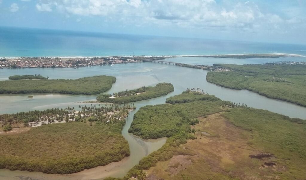 Maré Vermelha intoxica centenas de pessoas em Alagoas e PE