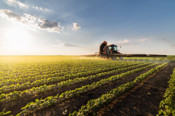 Tractor spraying pesticides on soybean field with sprayer at spring