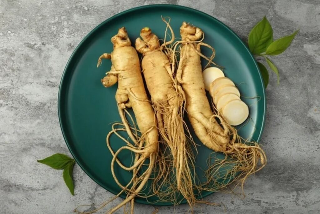 Ginseng após o treino acelera a recuperação e reduz o cansaço muscular