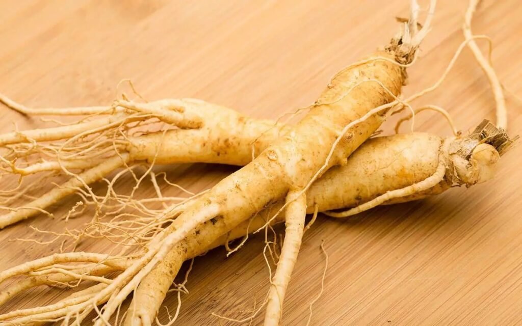 Ginseng após o treino acelera a recuperação e reduz o cansaço muscular