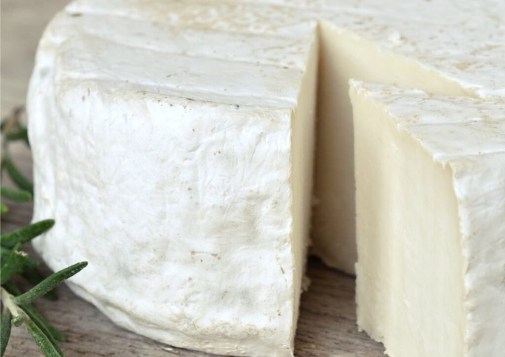 Bactérias do queijo de cabra têm forte potencial probiótico