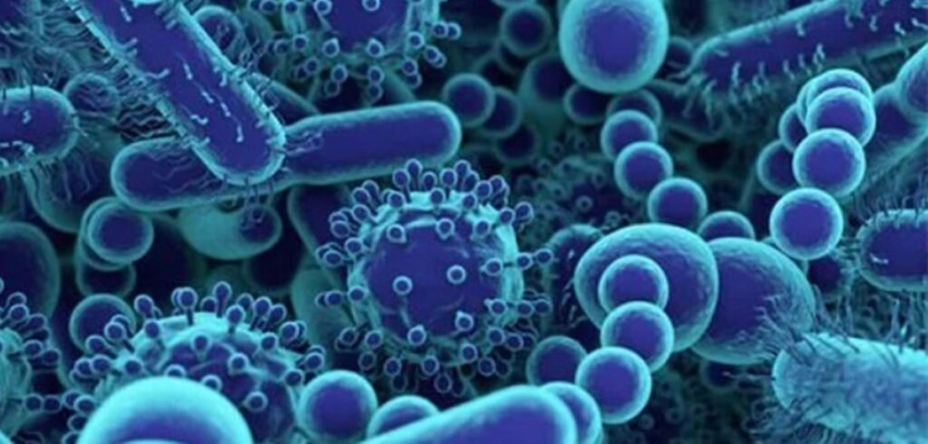 Bactérias sentem quando seus parentes morrem. E se defendem