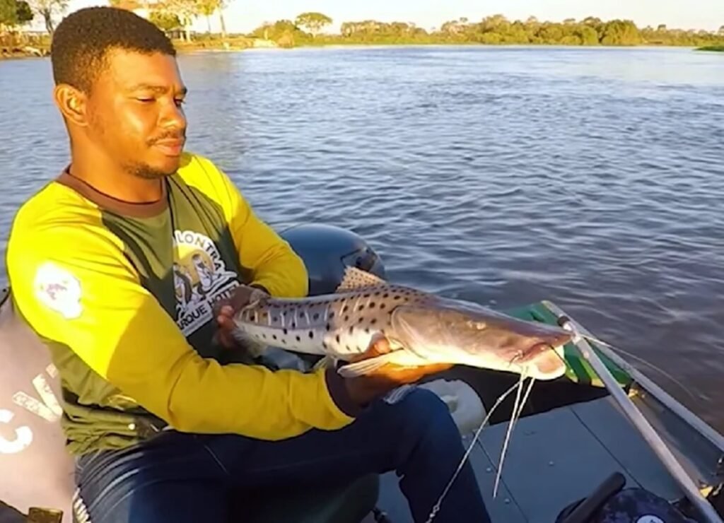 Os maiores peixes de água doce do Brasil