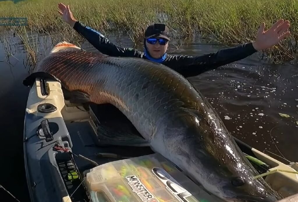 Os maiores peixes de água doce do Brasil