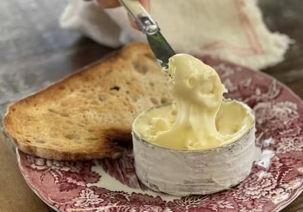 Queijo brasileiro é eleito o melhor do mundo em competição