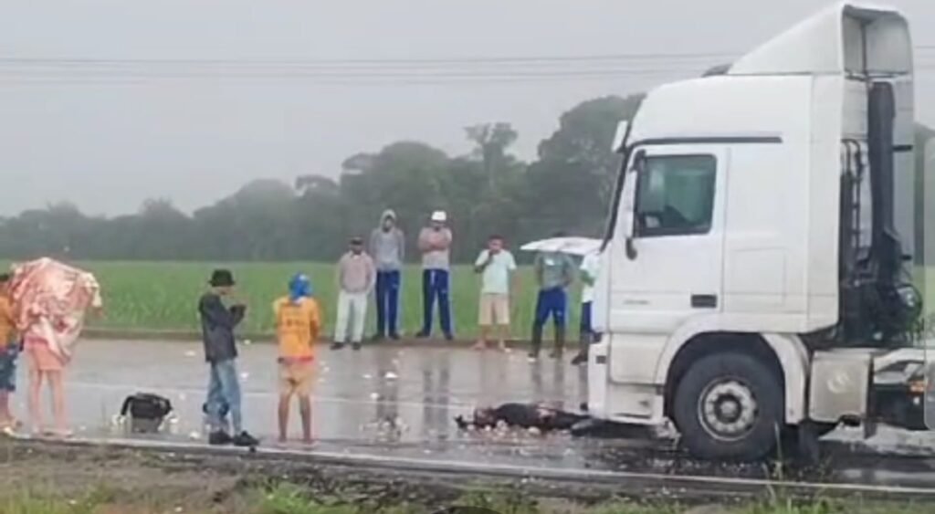 Acidente na BR-101 deixa vítima fatal em São Miguel dos Campos