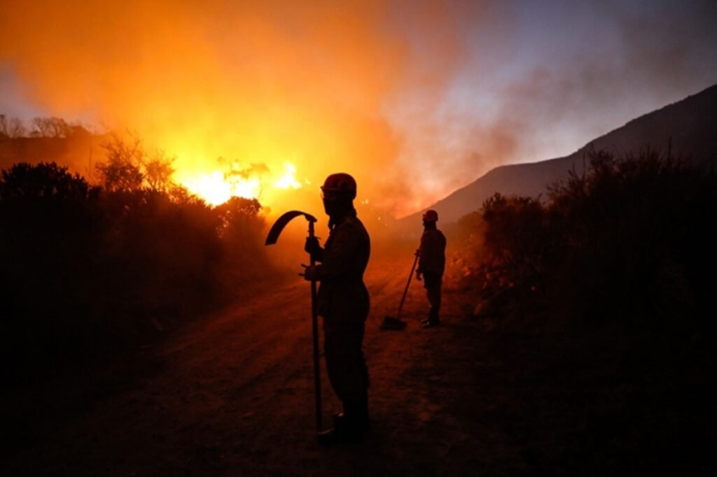 Brasil tem recorde de incêndios florestais no primeiro semestre de 2024