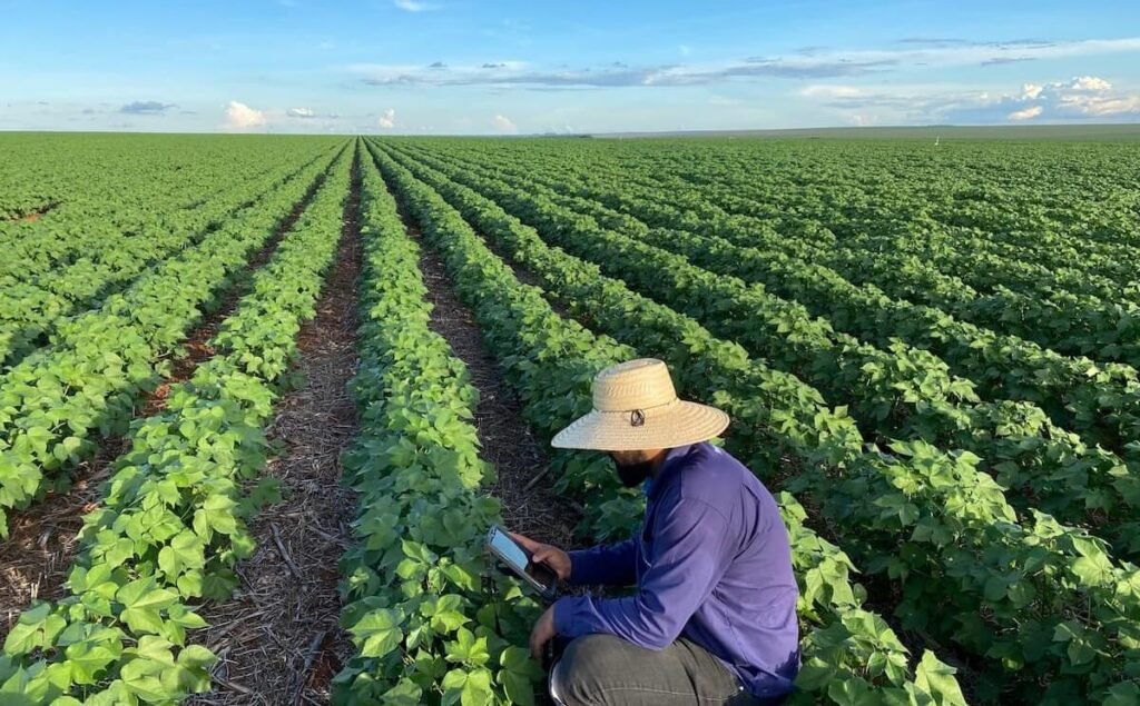 Governo Lula taxa o agronegócio com medida provisória