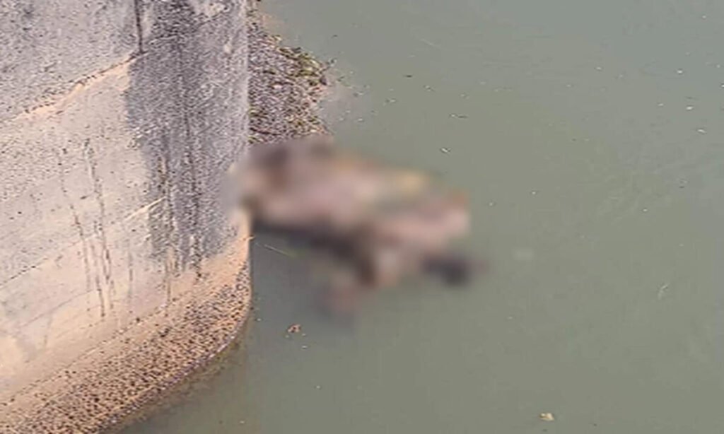 Reprodução/@ynovemidiasemarketing