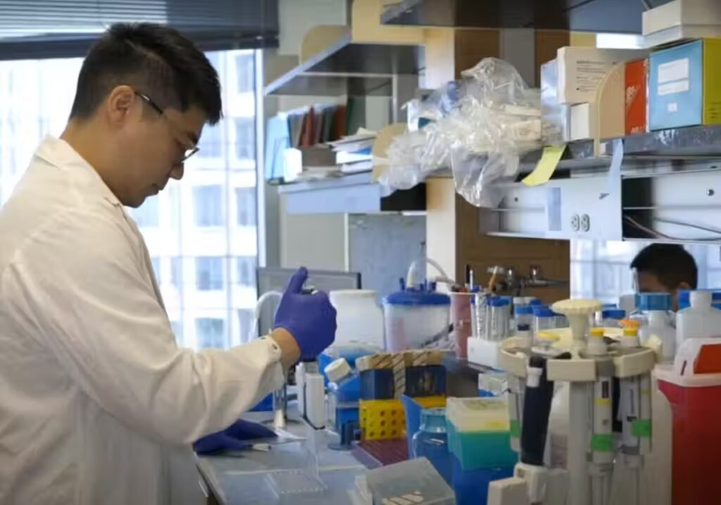 Cientistas descobrem causa do lúpus e como reverter a doença autoimune