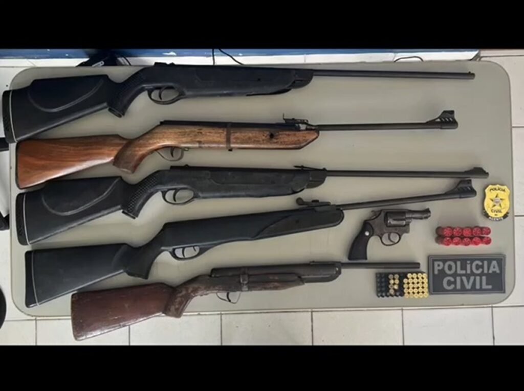 Polícia prender mulher com várias armas no interior de Alagoas