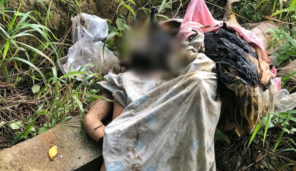 Cortesia internautas