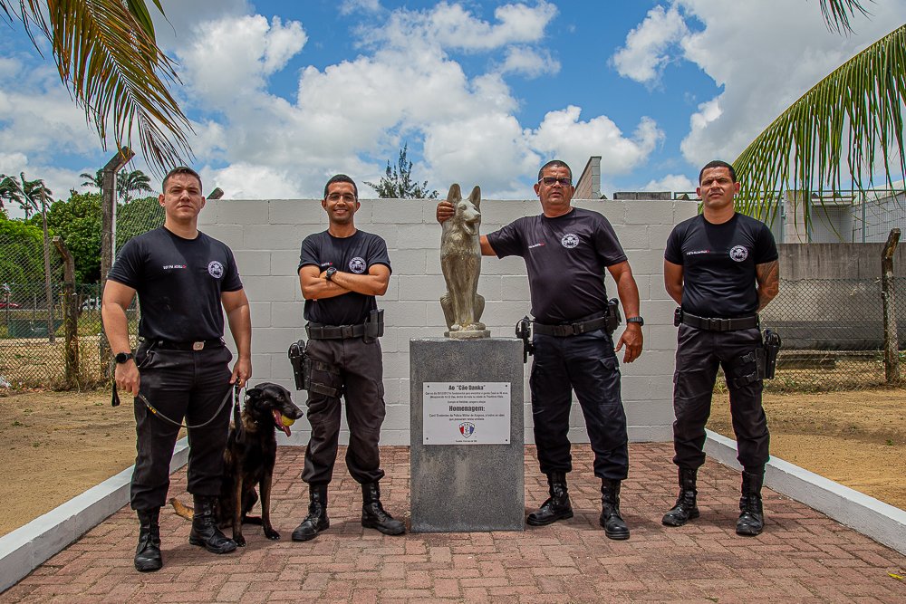 Heróis de quatro patas e suas contribuições à Polícia Militar de Alagoas
