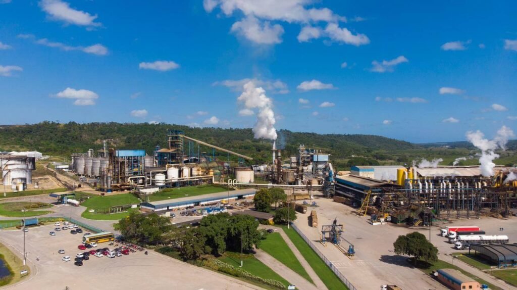 Usina Caeté emite nota sobre imagens de animais mortos que circulam em rede sociais