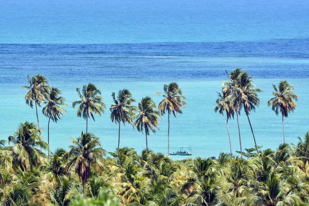 15 praias de Alagoas onde o azul do mar beija o céu e os sonhos encontram a areia