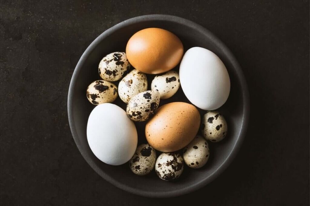 belekekin | Shutterstock